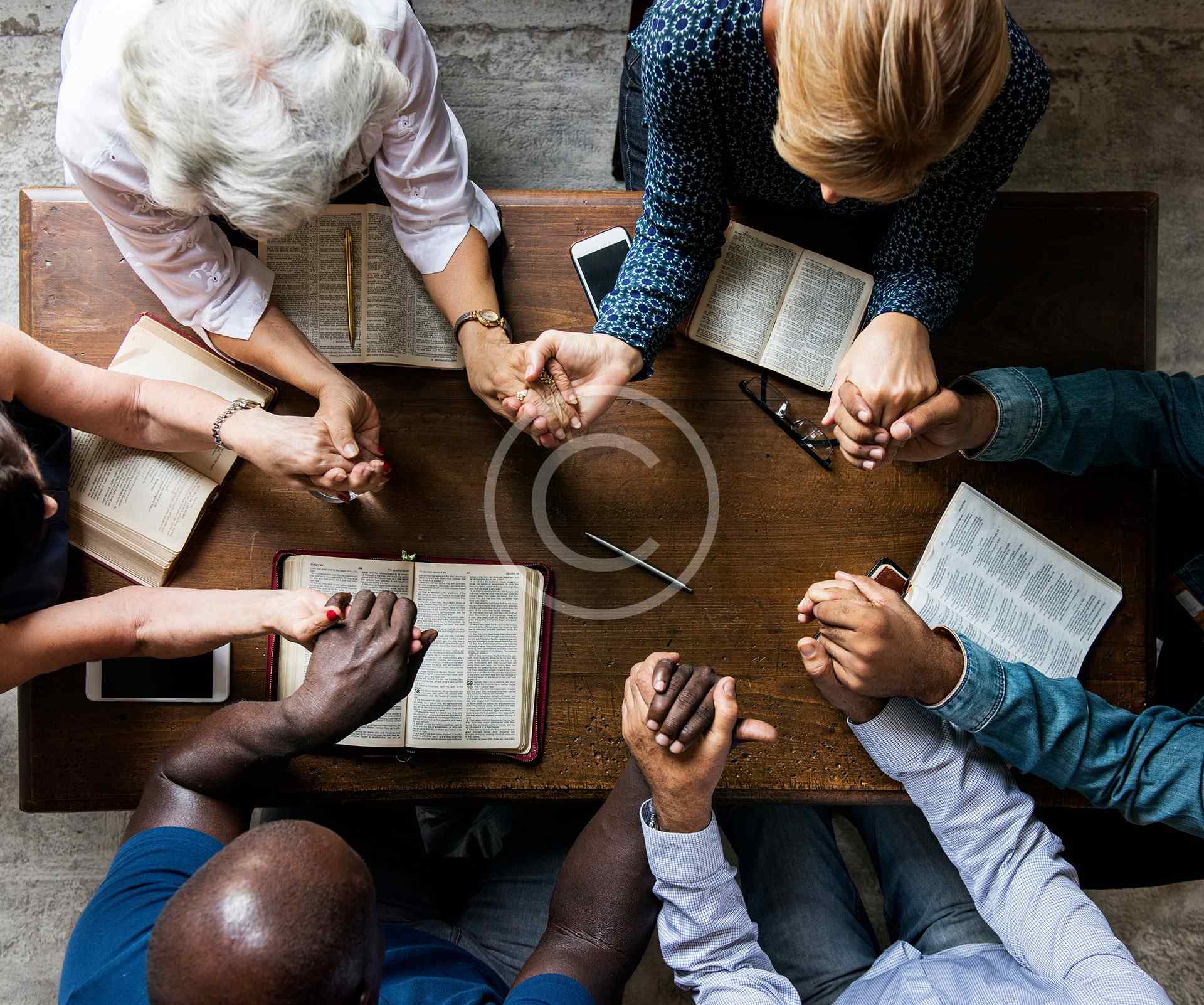 Công tác bảo tồn