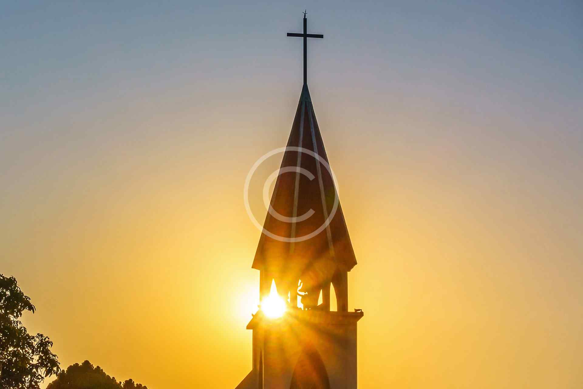 Công tác bảo tồn