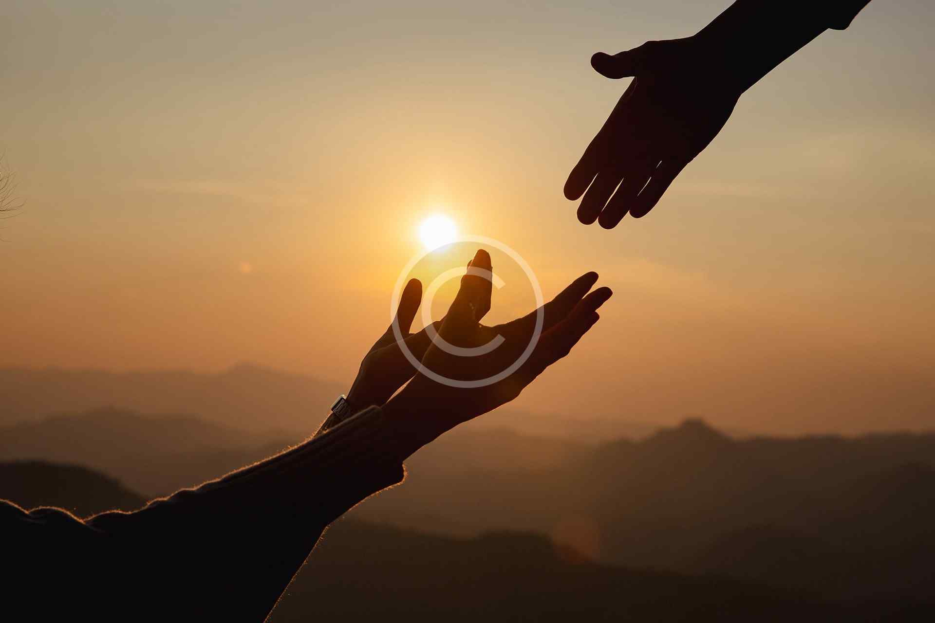 Dịch thuật, xuất bản